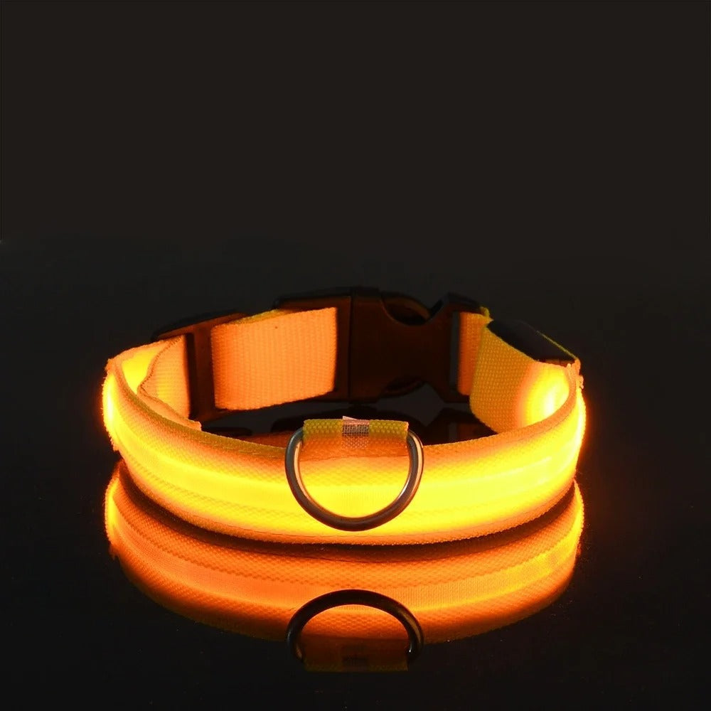 PawSafe™ Verlichte Halsband