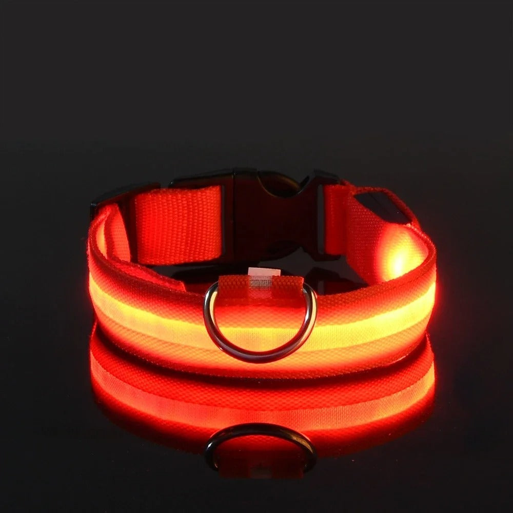 PawSafe™ Verlichte Halsband