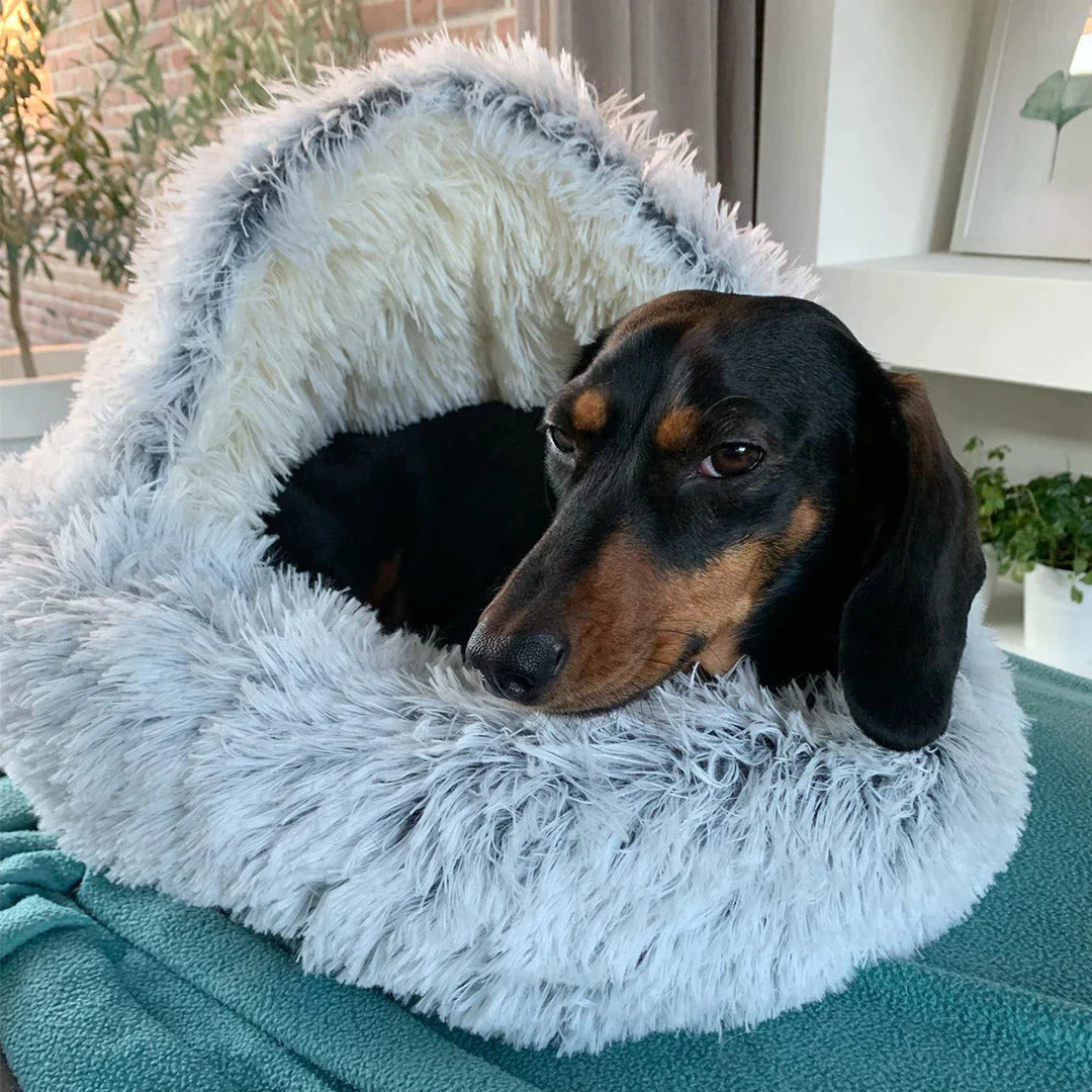 CozyCave™