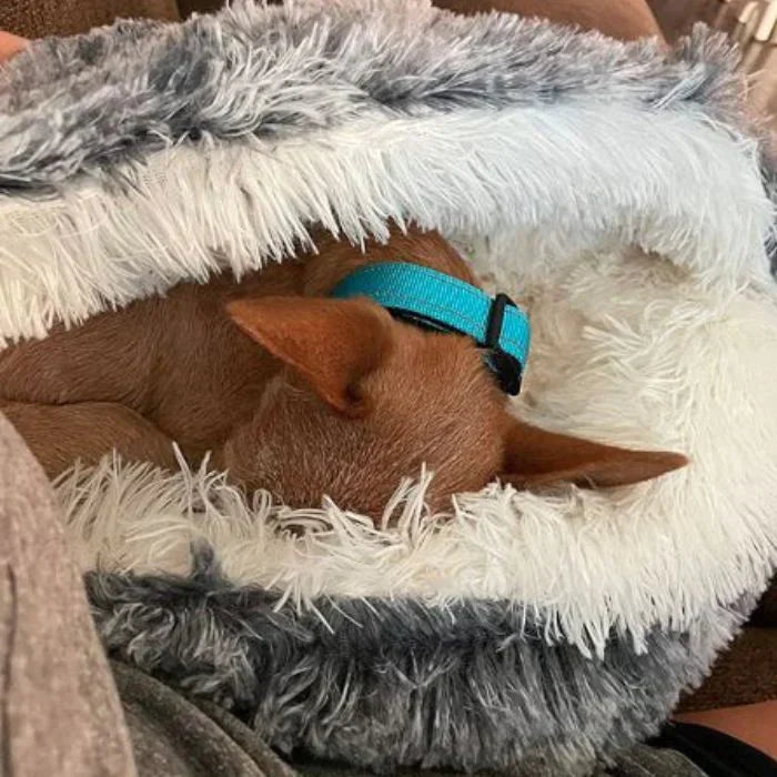 CozyCave™
