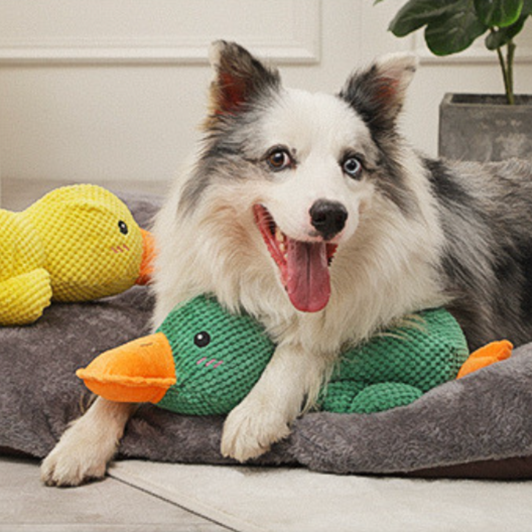 BiteBuddy Duck™