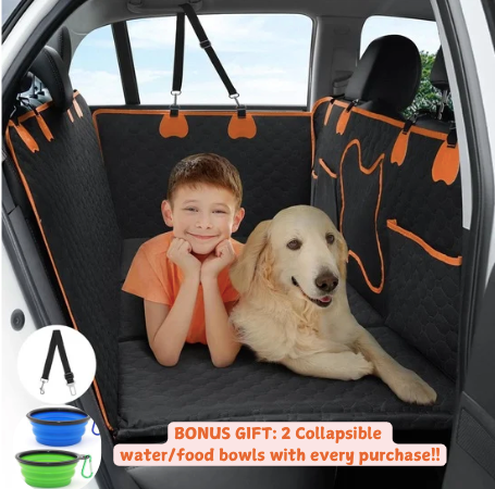 Honden comfortbescherming auto